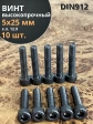 Винт высокопрочный М5х25 мм к.п.12.9 черный DIN912, 10 шт.