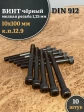 Винт мелкая резьба чёрный к.п.12.9 10х100х1,25 DIN912, 10 шт.