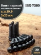 Винт чёрный М5х25 ISO 7380 под шестигранник к.п.10.9, 20 шт.
