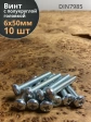 Винт с полукруглой головкой М6х50 ОЦ DIN7985, 10 шт.