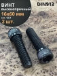 Винт высокопрочный М16х60 мм к.п.12.9 черный DIN912, 2 шт.