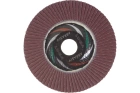 Круг лепестковый плоский 125х22 мм A 50 КЛТ1 Луга