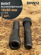Винт высокопрочный М18х80 мм к.п.12.9 черный DIN912, 2 шт.