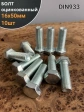 Болт оцинкованный М16х50 DIN933 10 шт.