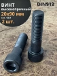 Винт высокопрочный М20х90 мм к.п.12.9 черный DIN912, 2 шт.