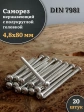 Саморез нержавеющий полукруглая гол. 4,8х80 DIN7981 , 20 шт.