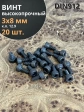 Винт высокопрочный М3х8 мм к.п.12.9 черный DIN912, 20 шт.
