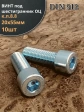 Винт под шестигранник 20х55 мм ОЦ к.п.8.8 DIN912, 2 шт.