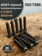 Винт чёрный М12х55 ISO 7380 под шестигранник к.п.10.9, 10 шт.