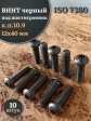 Винт чёрный М12х40 ISO 7380 под шестигранник к.п.10.9, 10 шт.