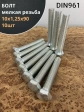 Болт М10х1,25х90 мелкая резьба к.п.10.9 ОЦ DIN961, 10 шт.