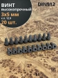 Винт высокопрочный М3х5 мм к.п.12.9 черный DIN912, 20 шт.