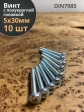 Винт с полукруглой головкой М5х30 ОЦ DIN7985, 10 шт.