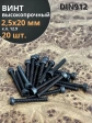 Винт высокопрочный М2,5х20 мм к.п.12.9 черный DIN912, 20 шт.
