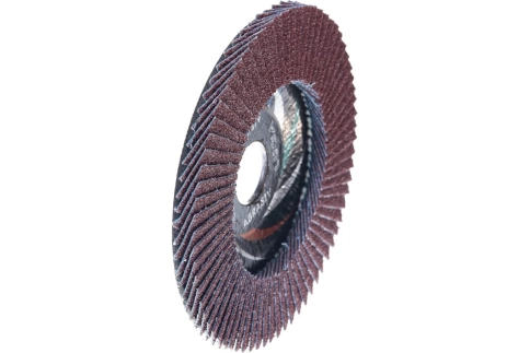 Круг лепестковый плоский A 60 КЛТ1 Луга фото 3
